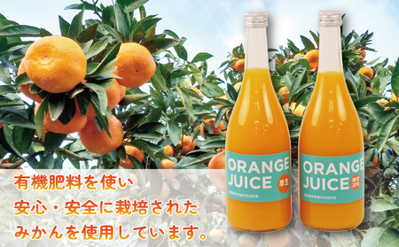 ジュース 元気がでる みかん 100％ ストレート ジュース 早生 南柑20号 各720ml × 2本 セット ORANGE Salud! オレンジサルー わせ 南柑 温州みかん みかんジュース 100%ジュース 蜜柑 mikan フルーツ ジュース 果汁 飲料 果物 くだもの 数量限定 国産 愛媛 宇和島 H010-196001