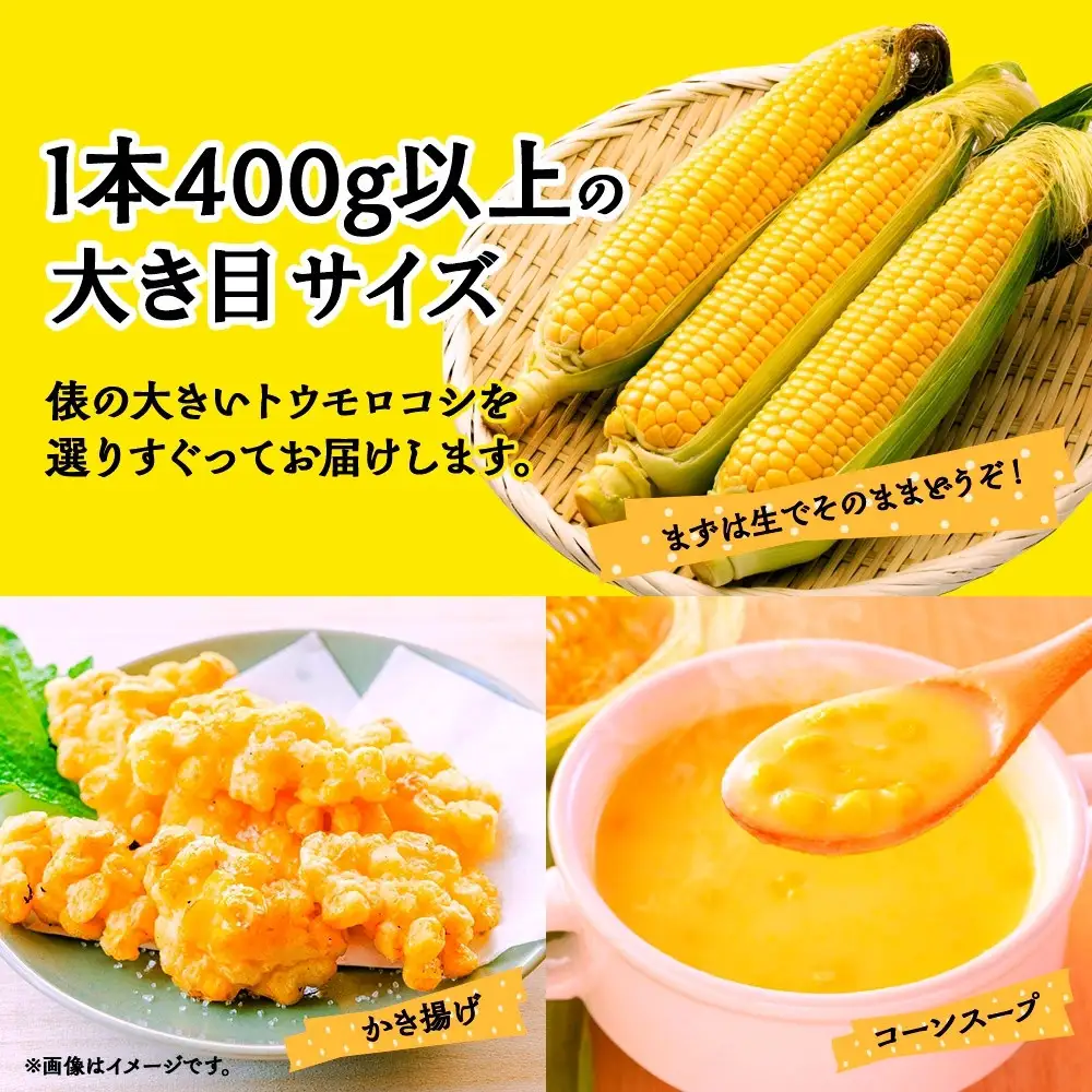 【2026年先行予約】とうもろこし 恵味 ゴールド 400g以上 × 6本 高糖度 トウモロコシ スイートコーン 玉蜀黍 イエローコーン 黄 夏野菜 甘い ジューシー 野菜 おやつ 旬 産地直送 湖南野菜出荷組合 山梨県 富士河口湖町