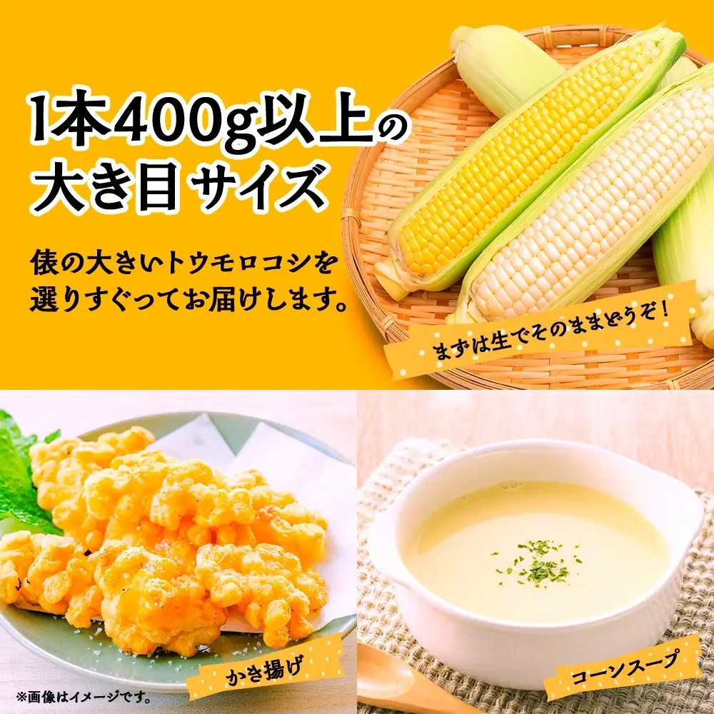 【2026年先行予約】とうもろこし イエロー ＆ ホワイト 2種 食べ比べ 恵味ゴールド 白い恵味 400g以上 各6本 計12本 野菜 おやつ 旬 産地直送 送料無料 湖南野菜出荷組合 山梨県 富士河口湖町