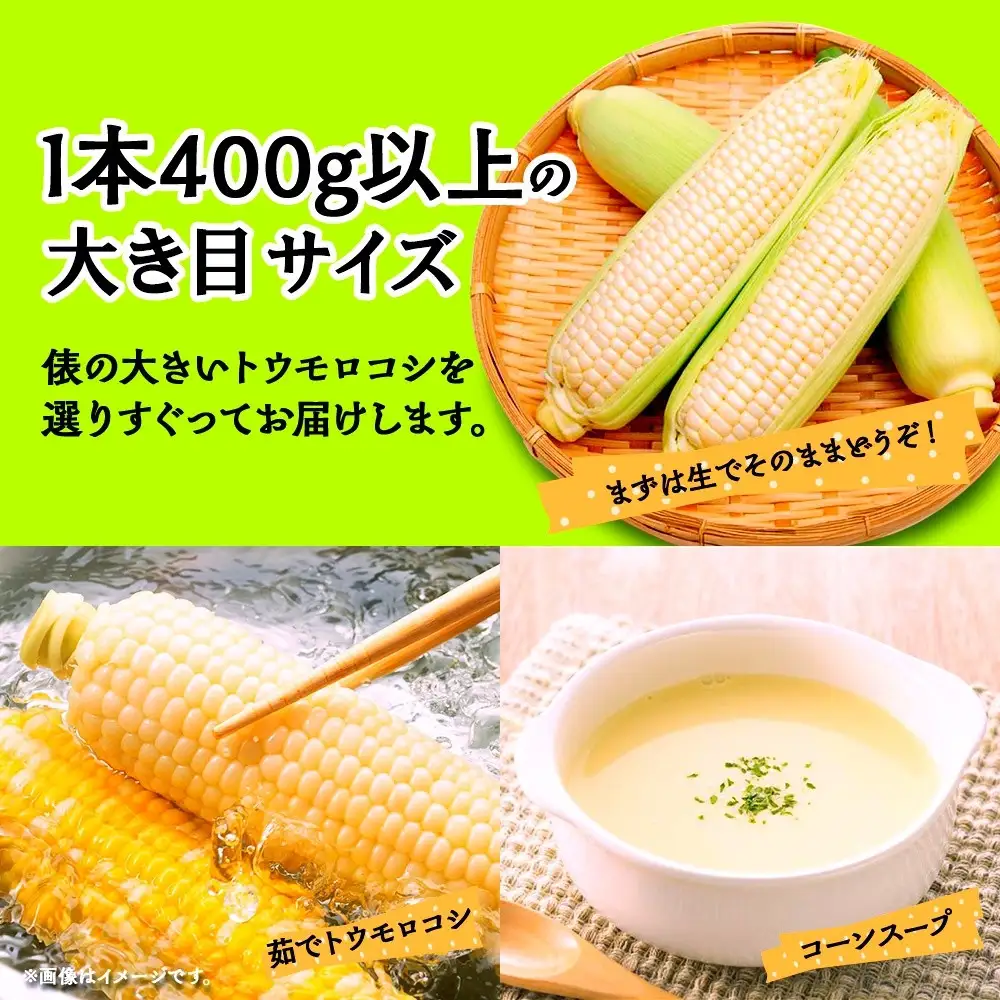 【2026年先行予約】とうもろこし 白い恵味 ホワイト 400g以上×6本 計2.4kg以上 高糖度 トウモロコシ スイートコーン 玉蜀黍 白 夏野菜 ジューシー 野菜 おやつ 甘い 旬 産地直送 送料無料 湖南野菜出荷組合 山梨県 富士河口湖町
