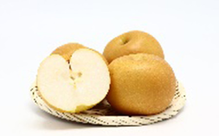 ≪数量限定 期間限定≫ 《先行予約 2026年度発送》 とれたて旬果巡り4種セットA 白桃と和梨 ピオーネ サンふじりんご 定期便【全3回】 FSY-2541