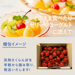【2026年発送 先行予約】完熟大玉・さくらんぼ（3L～4Lバラ 約1kg）佐藤錦 紅秀峰 サクランボ 岩原果樹園 山梨県 北杜市 [h039]