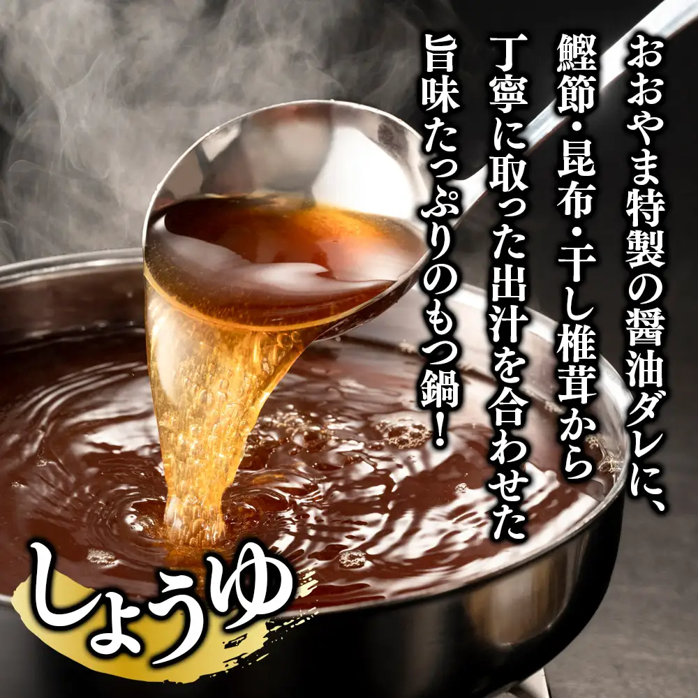 博多もつ鍋おおやま もつ鍋みそ・しょうゆ食べ比べ 各2人前（合計4人前） もつ モツ もつ鍋 みそ味 しょうゆ味 博多 九州産 国産牛 超低温カット お取り寄せ 贈り物 冷凍保存 福岡 八女 072-316
