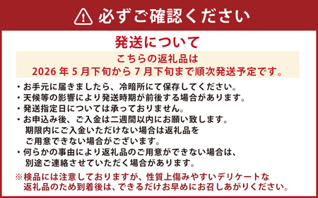 小玉すいか 秀品2玉 （約2～3kg） 西瓜 スイカ くだもの 果物 フルーツ 国産 九州 熊本県 熊本市 【2026年5月下旬～7月下旬迄順次発送予定】