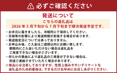 訳あり 小玉すいか 2玉 （約2～3kg） 西瓜 スイカ くだもの 果物  フルーツ 国産 九州 熊本県 熊本市 冷蔵 【2026年5月下旬～7月下旬迄順次発送予定】