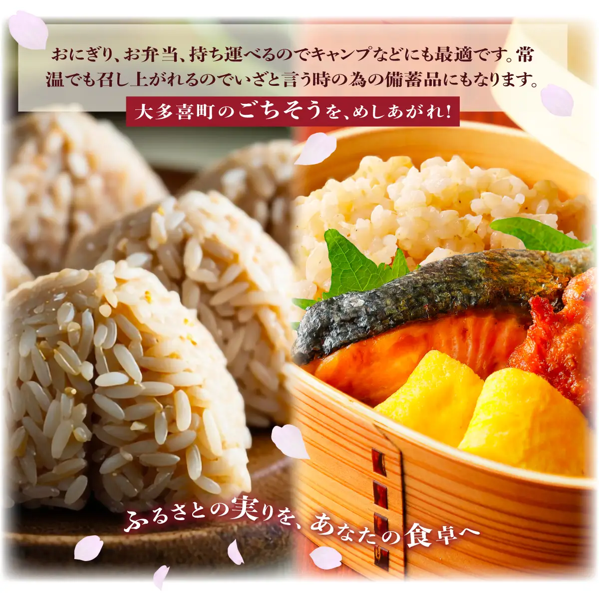 玄米ごはん２００g×２４　ふるさと納税 米 こめ コメ ごはん ご飯 コシヒカリ 玄米 200g 6パック セット 4箱 計24個 長期保存 常温 無添加 お弁当 キャンプ 備蓄 非常食 千葉県 大多喜町 KP04701