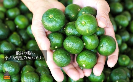 ～野生の島みかんの味～徳之島のヤマ・シークニン果汁（300ml×2本） ( 調味料 柑橘 果物 薬味 果汁 香り 酸味 ドレッシング 野生みかん みかん ヤマシークニン 奄美 鹿児島 鍋 焼き魚 料理 お酒 焼酎 酸味 ダイキチ食品 )