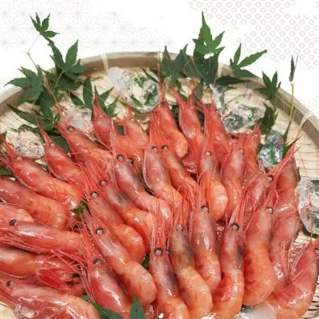 お刺身用甘えび500g(Mサイズ44匹前後)【配送不可地域：離島】【1633454】