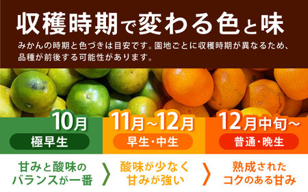 【2回定期便】※【2026年11月上旬より順次発送／先行予約】伊木力みかん(家庭用) 5kg / みかん ミカン 蜜柑 柑橘 フルーツ ふるーつ 果物 くだもの / 諫早市 / 山野果樹園 [AHCF008]