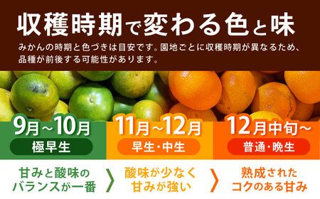 【2回定期便】※【2026年11月上旬より順次発送／先行予約】伊木力みかん(家庭用) 10kg / みかん ミカン 蜜柑 柑橘 フルーツ ふるーつ 果物 くだもの / 諫早市 / 山野果樹園 [AHCF012]
