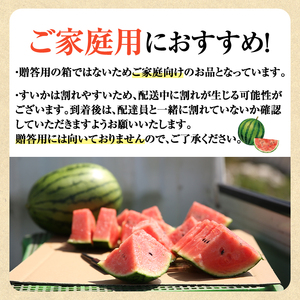 【0165005a】《2026年5月以降発送》小玉すいか・ピノ・ガール(2玉・計4kg以上) 果物 果実 フルーツ スイカ ピノガール 数量限定 期間限定【宮内農園】