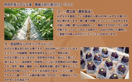 水なす漬け6個セット