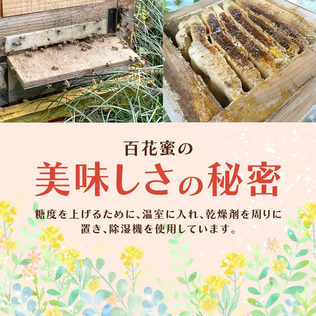 茨城県桜川市産 「 百花蜜 」合計 300g (150g×2P) 日本みつばち はちみつ ハチミツ 蜜 蜂蜜 パック詰め パック包装 小分け[DZ005sa]