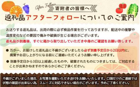  (訳あり・ご家庭用)一度は食べていただきたい「有田産のせとか」約4kg～5kg　※2027年2月中旬～2027年3月中旬頃に順次発送【tecj1032】 