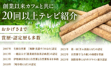 自然薯のしょう油漬け 240g（80g×3） / 恵那市 / 水戸屋 [AUFZ012]