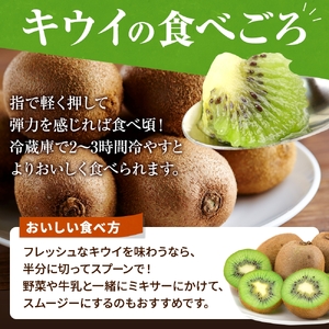 【先行予約】先行予約！和歌山県産 秀品 キウイフルーツ 大玉15個入 こだわり農家厳選 【2026年12月中旬～2027年1月中旬頃に順次発送予定】/ キウイ キウイフルーツ 果物 フルーツ おやつ【kgr021】