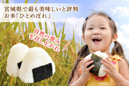 6回 定期便 米 宮城県産 ひとめぼれ 10kg (5kg ×2袋) ×6回 総計 60kg [菊武商店 宮城県 気仙沼市 20565602]