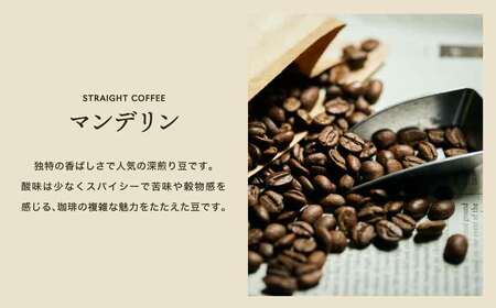 関市　コーヒー　自家焙煎珈琲豆　カフェアダチ　香ばしい人気豆　マンデリン　２kg/カフェアダチ　珈琲　コーヒー　自家焙煎　COFFEE　焙煎　マンデリン　豆　粉にもできます　