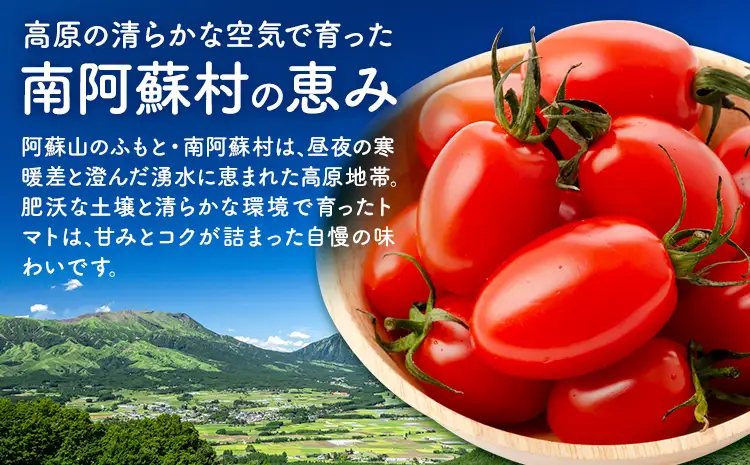 ミニトマト アイコ 約2kg ますだふぁーむ《7月上旬-11月末頃出荷》熊本県 南阿蘇村 アイコトマト 野菜 旬 夏野菜 トマト