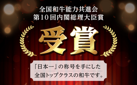 【全12回定期便】 長崎和牛 サーロイン ステーキ 250g×2 【KRAZY MEAT】 A5 A4 冷凍 和牛 肉 牛肉 BBQ[RCQ013]