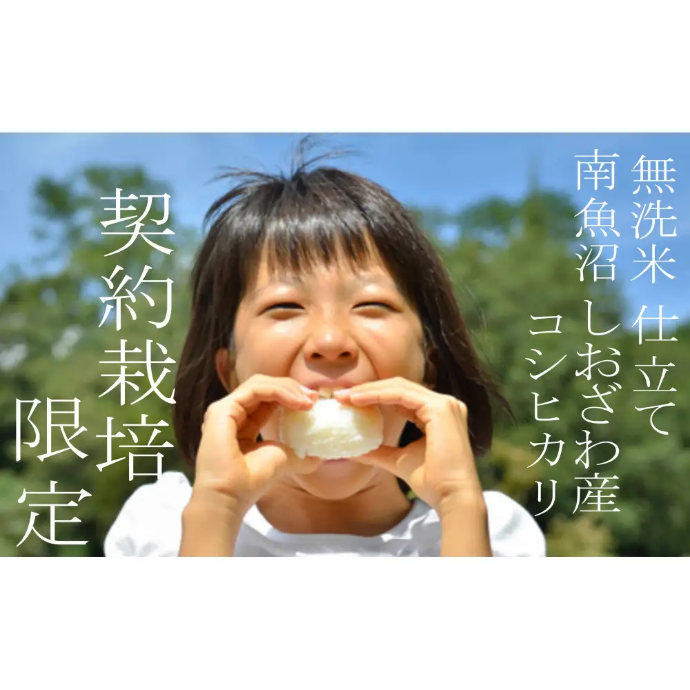 【令和7年産 無洗米5Kg】南魚沼しおざわ産コシヒカリ