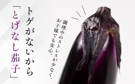 ≪先行予約≫とげなし茄子 10本 ナス 茄子 なす なすび 野菜 旬 旬の野菜 糖度 石田茄子 トゲなし