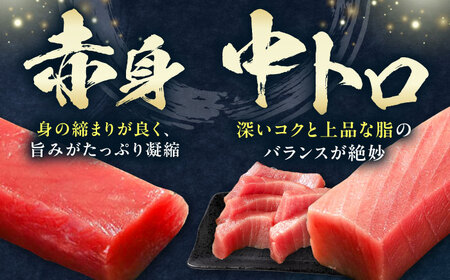 【全3回定期便】 対馬産 本マグロ 3種 計900g（赤身/中トロ/ネギトロ）[WAH040] マグロ まぐろ トロ