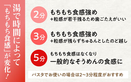 【田中製麺】彩湟（さいこう）全粒麺 ノンオイル製法 島原手延べそうめん 万能麺 170g×6袋 / 純国産 乾麺 パスタ 素麺 / 南島原市 / 贅沢宝庫[SDZ040]
