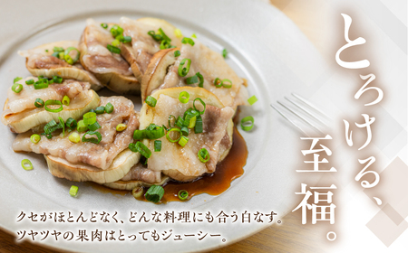 ≪先行予約≫白茄子 6本 ナス 茄子 なす なすび 白なす しろなす 白ナス 白茄子 野菜 旬 旬の野菜