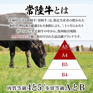 【茨城県共通返礼品】【12回定期便】常陸牛ロースステーキ 計9kg(250g×36)【銘柄牛 牛肉 冷凍 たんぱく質 ビタミン 茨城県産】(81-12)