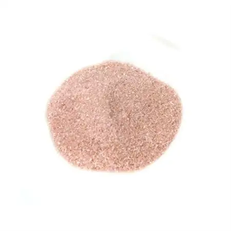 保阪流 Beauty トリートメント スパ 900g【配送不可地域：沖縄県】【1609738】