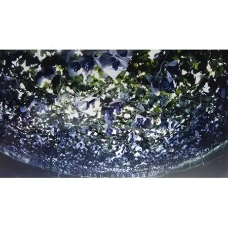 秩父ワイン【秩父山ぶどう】720ml×1本【1635383】