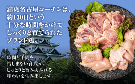 名古屋コーチン 正肉セット 800g 鶏肉