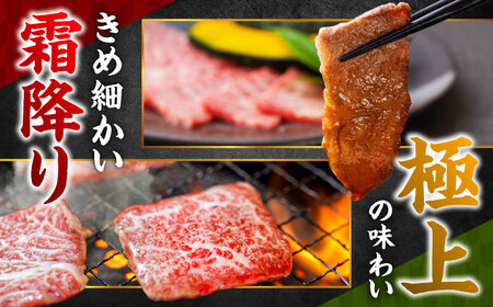 おおいた和牛 もも・バラ焼肉セット 600g(各300g) 赤身 モモ 焼肉  冷凍 豊後牛 おおいた和牛 バラ BBQ  [ARCG013]