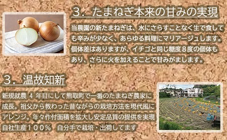 岸上農園　泉州玉ねぎ　約10kg