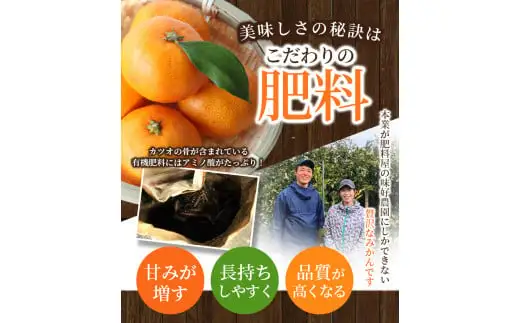 [和歌山県産] 旬をお届け！ 季節の「 温州 みかん 」 1kg ※贈答用 秀品 (極早生・早生・中生・晩稲)【M~2Lサイズおまかせ】【2026年10月中旬～2027年2月下旬までに順次発送】＜味好農園＞/ 蜜柑 柑橘 果物 フルーツ みかん 早生 極早生 中生 晩稲 【agy004-p-1】