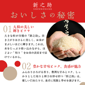 【2026年6月下旬発送】令和7年産 新潟県上越妙高産新之助2kg※沖縄県・離島配送不可