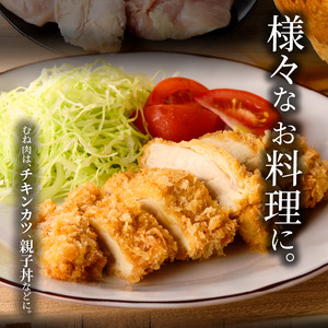 名古屋コーチン　むね肉1.2kg大満足セット［001T11］