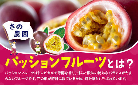 さの農園の パッションフルーツ 約1kg 10-15玉