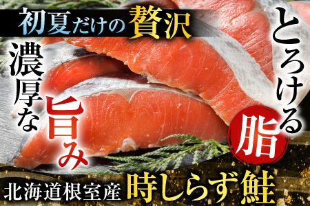 【北海道根室産】時しらず鮭1.5kg×1P・いくら醤油漬け80g×6P D-42067