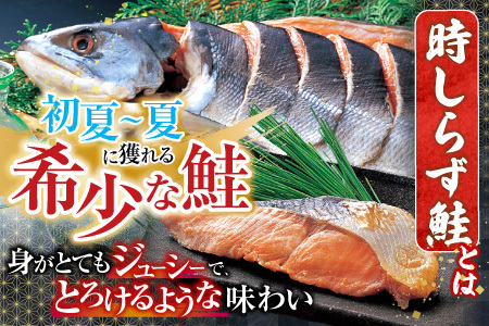 【北海道根室産】時しらず鮭1.5kg×1P・いくら醤油漬け50g×1P F-42013