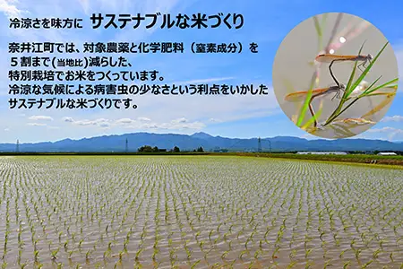 【定期便12回】北海道奈井江町　特別栽培米　ゆめぴりか　5kg【無洗米】