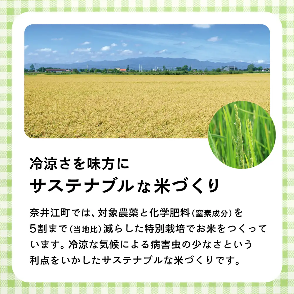【定期便12回】北海道奈井江町　特別栽培米　ななつぼし　10kg