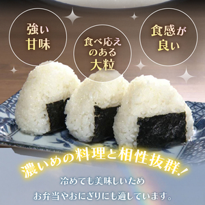 米 令和7年 虹のきらめき 10kg  白米