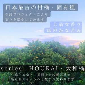 まほろババロア series OIWAKE・完熟梅 ５個セット LOG CABIN（ログ・キャビン） 10-207