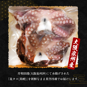 たこ 大阪泉州産 泉タコ 1.3kg (1杯～3杯×2袋) 詰め合わせ セット 生だこ 真蛸 タコ 冷凍タコ 冷凍 たこぶつ お刺身 たこ焼き たこ飯 海の幸 魚介 魚介類 海鮮 大阪 大阪府 岸和田市
