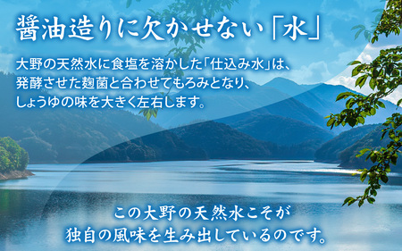 越前おおの　蔵出ししょうゆ 3本セット（1L×3）計3L  [A-040008]