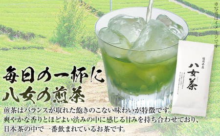 八女茶 煎茶 600g（100g×6袋）茶 緑茶