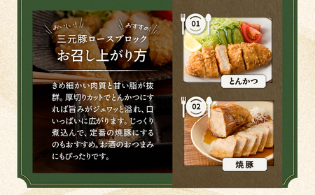 【 平田牧場 】 三元豚 ロース ブロック 600g T036-014 肉 豚肉