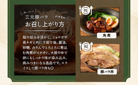 【 平田牧場】 三元豚 バラ ブロック 600g T036-015 肉 豚肉